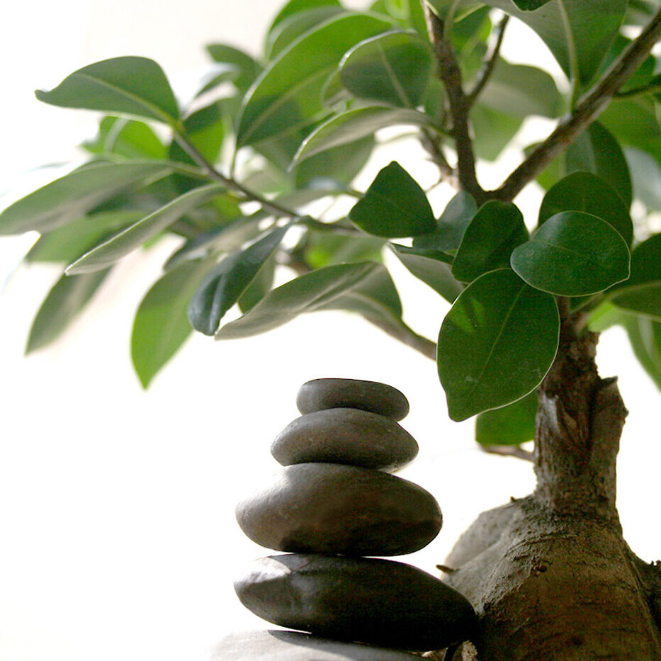 Meditation+Achtsamkeit
