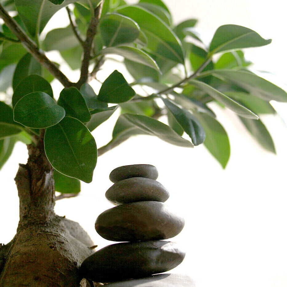 Meditation+Achtsamkeit