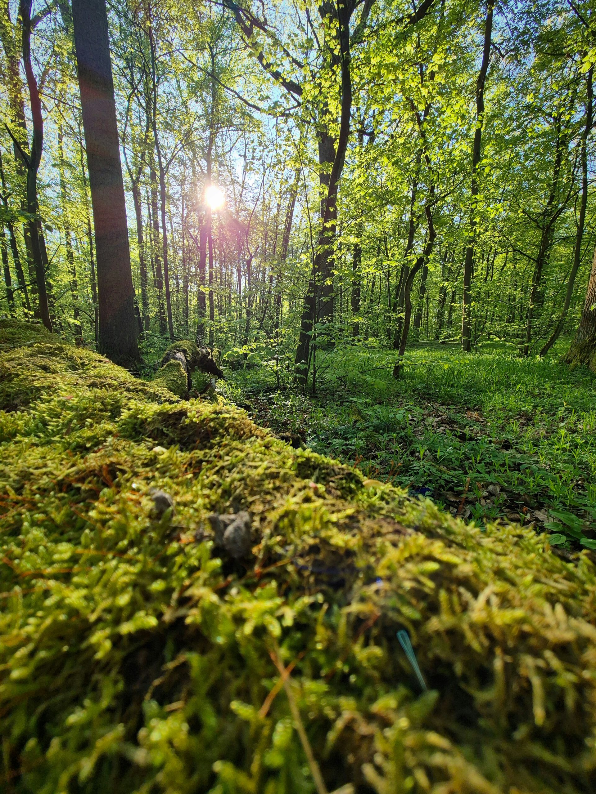 lukas-kadava-HiZTlFgN75c-unsplash